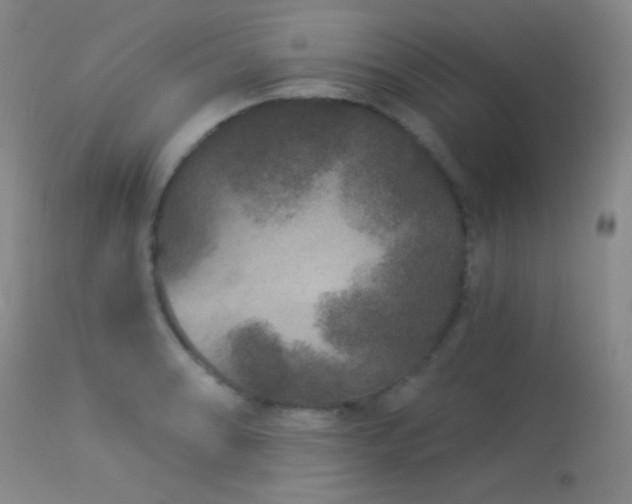 X0000114211086200910091318