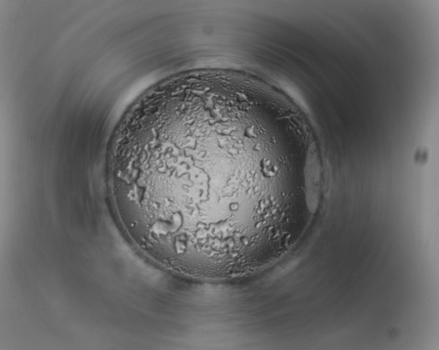 X0000114211087200910091318
