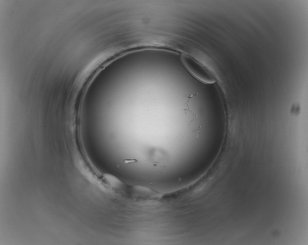 X0000114211088200910091318