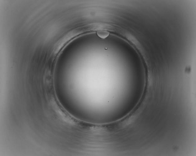 X0000114211089200910091318