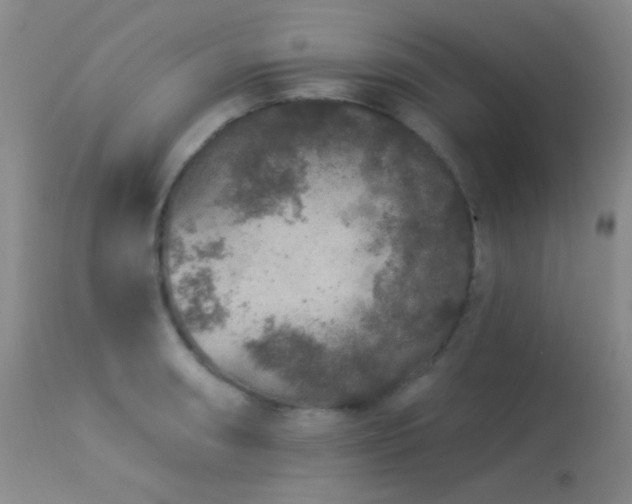 X0000114211090200910091318