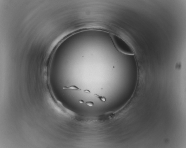 X0000114211092200910091318