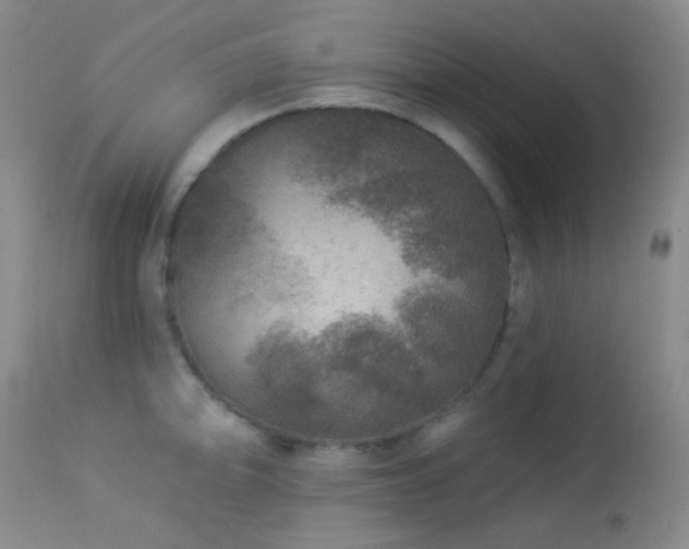 X0000114211094200910091318