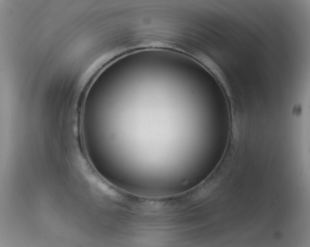 X0000114211096200910091318