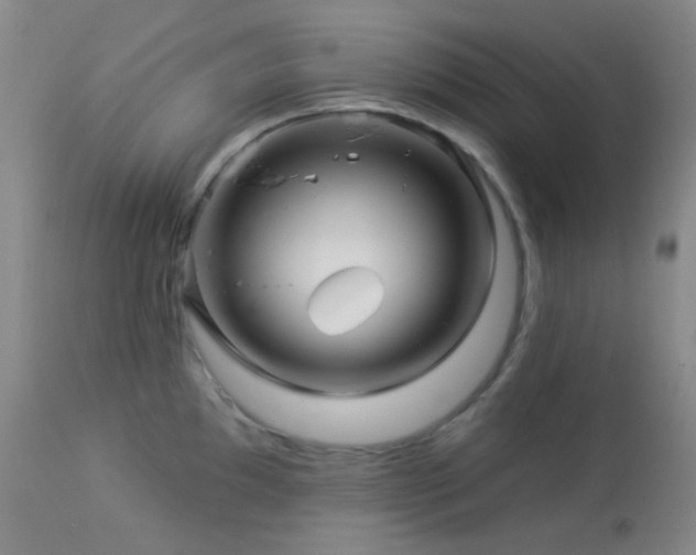 X0000114211097200910091318