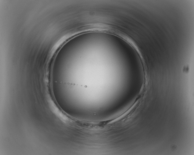 X0000114211099200910091318