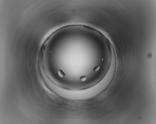 X0000114211101200910091318