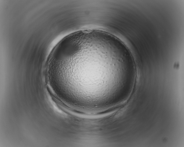 X0000114211102200910091318