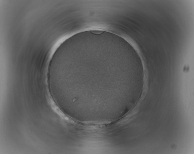 X0000114211104200910091318