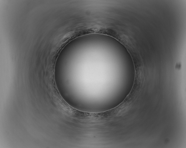 X0000114211105200910091317
