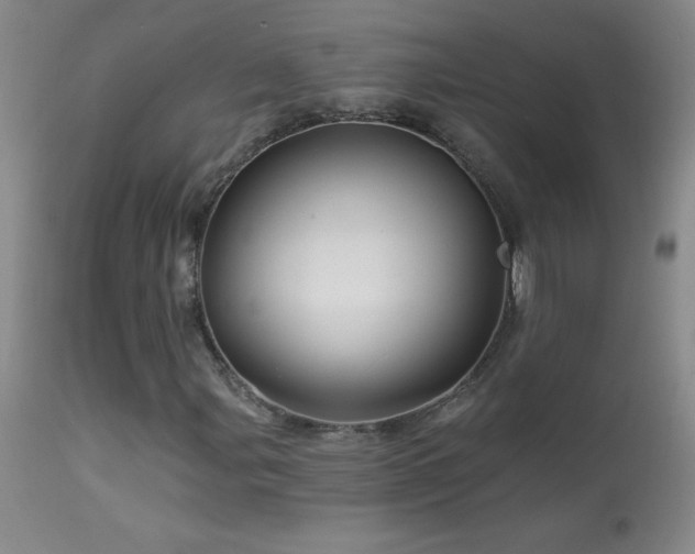X0000114211107200910091317