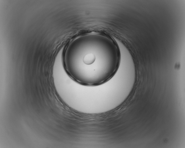 X0000114211108200910091317