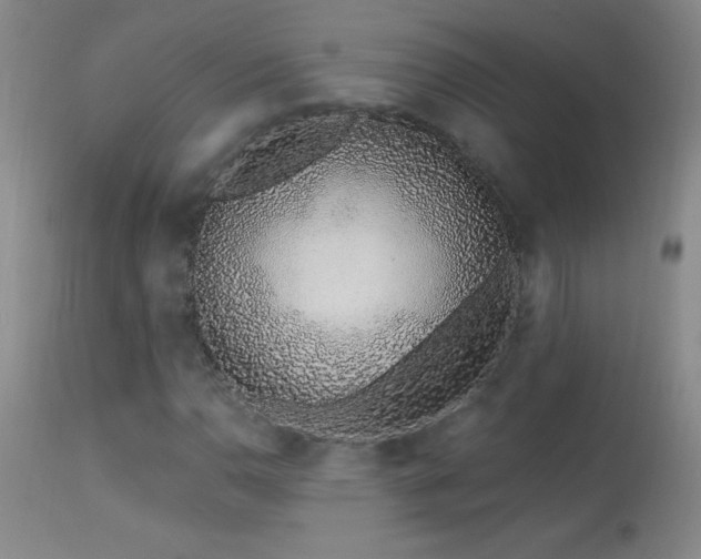 X0000114211110200910091317
