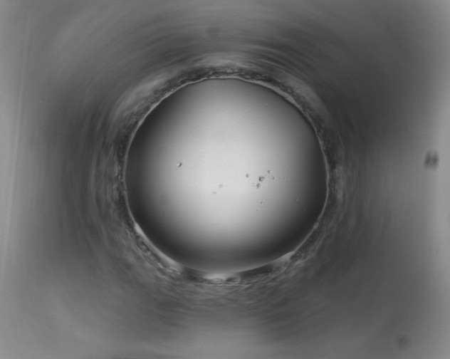 X0000114211111200910091317