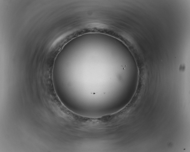X0000114211112200910091317