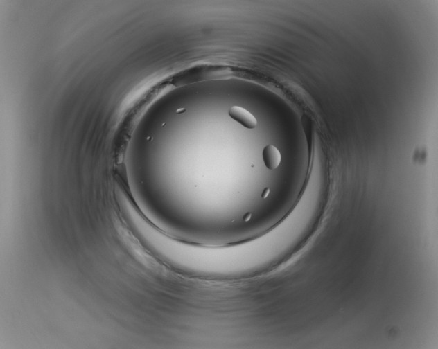 X0000114211114200910091317