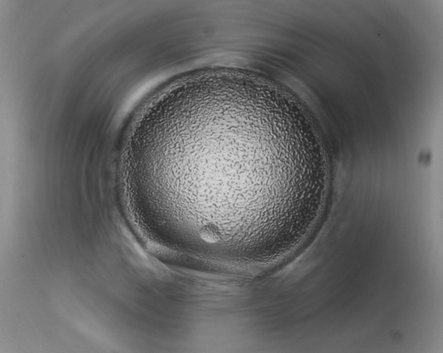 X0000114211115200910091317