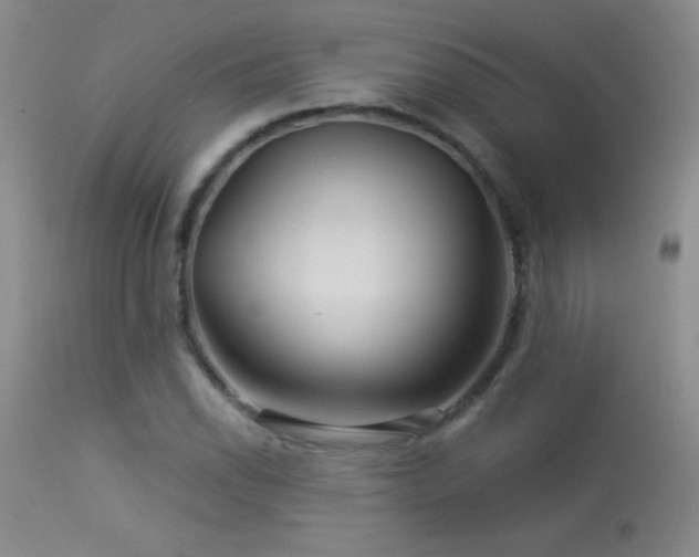 X0000114211118200910091317