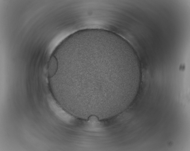 X0000114211120200910091317