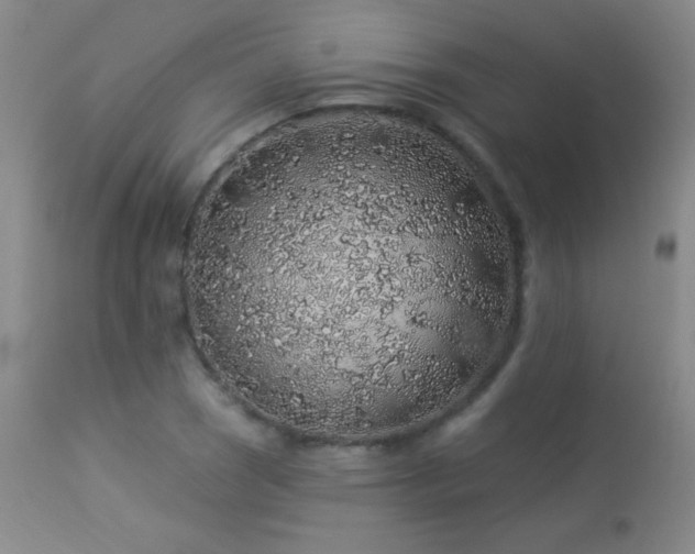 X0000114211121200910091317
