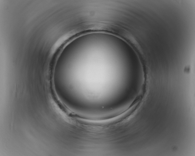 X0000114211122200910091317