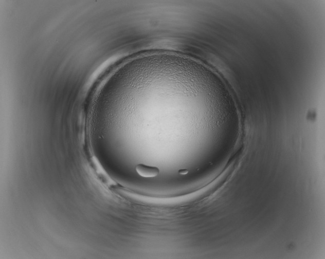 X0000114211123200910091317