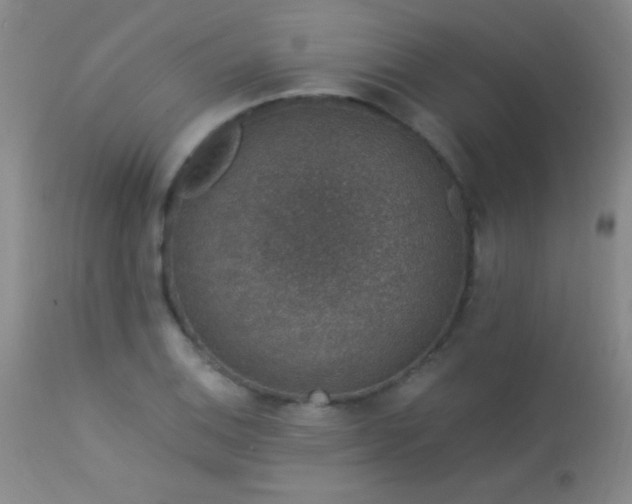 X0000114211124200910091317