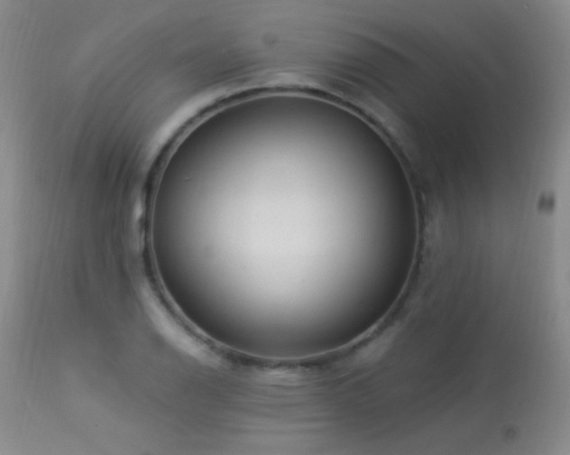 X0000114211126200910091317