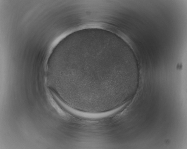 X0000114211127200910091317