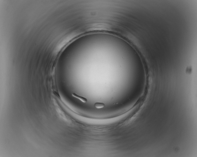 X0000114211129200910091317