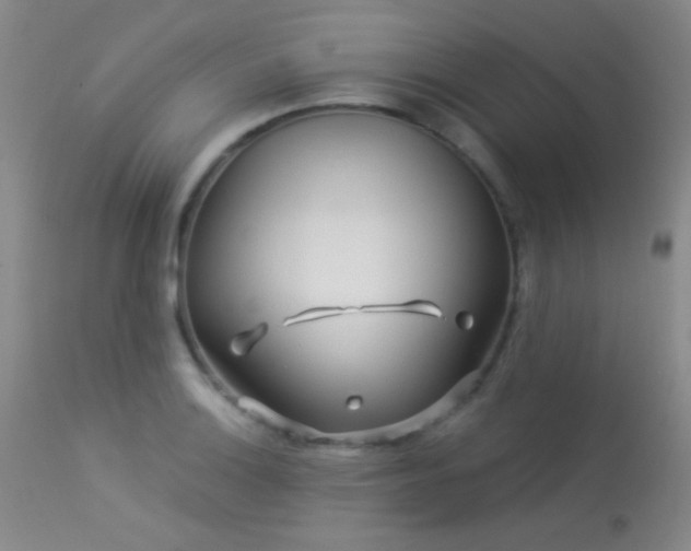X0000114211132200910091317