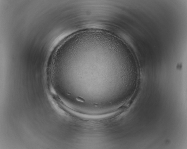 X0000114211133200910091318