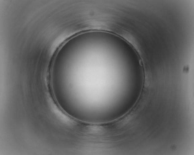 X0000114211136200910091318