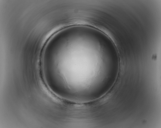 X0000114211142200910091318