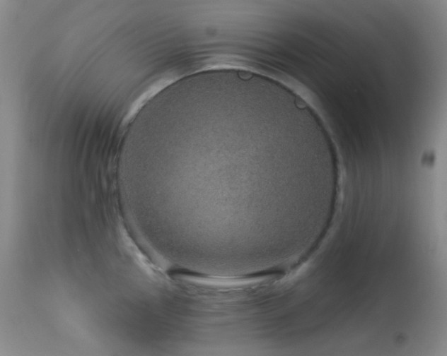 X0000114211145200910091318