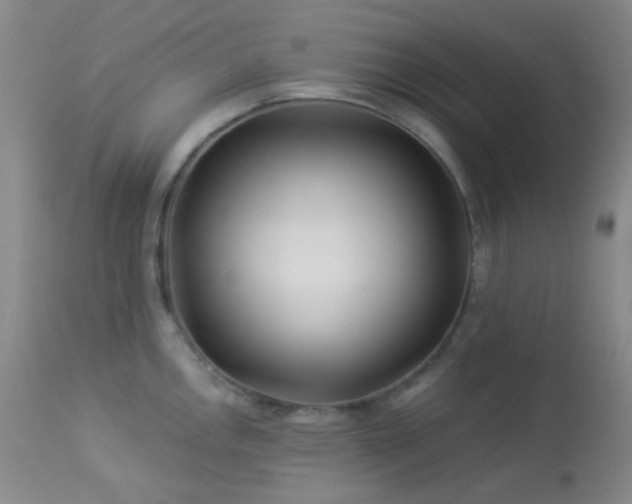 X0000114211146200910091318