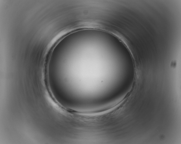 X0000114211147200910091318