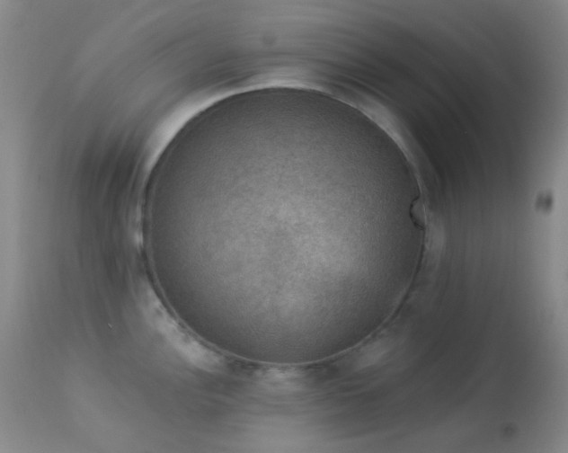 X0000114211148200910091318
