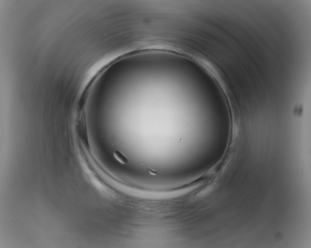 X0000114211149200910091318