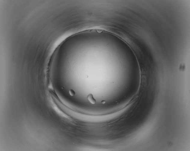 X0000114211151200910091318