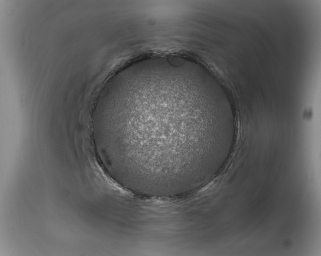 X0000114211153200910091317