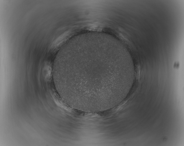 X0000114211154200910091317