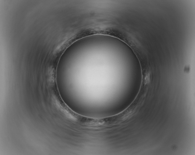 X0000114211156200910091317
