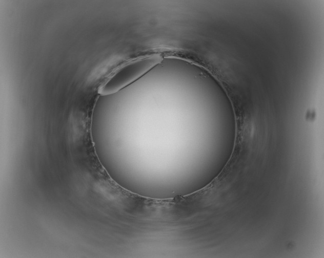 X0000114211157200910091317