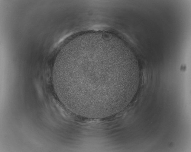 X0000114211158200910091317