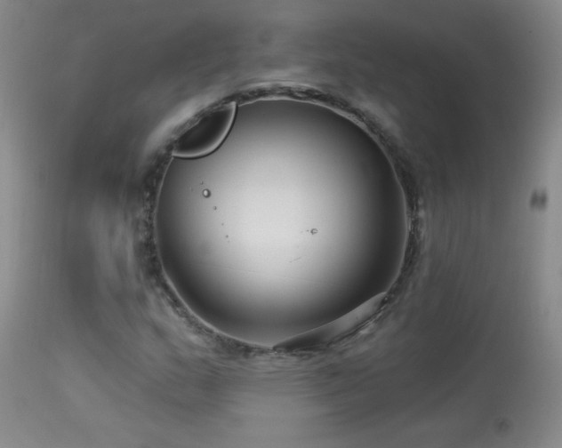 X0000114211159200910091317
