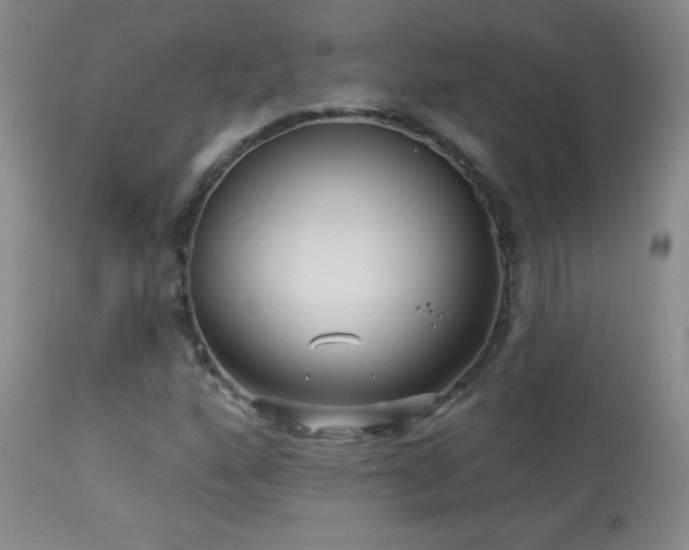X0000114211160200910091317