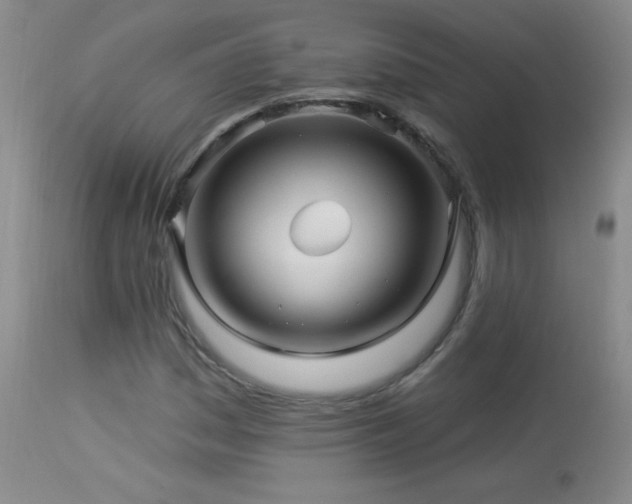 X0000114211161200910091317