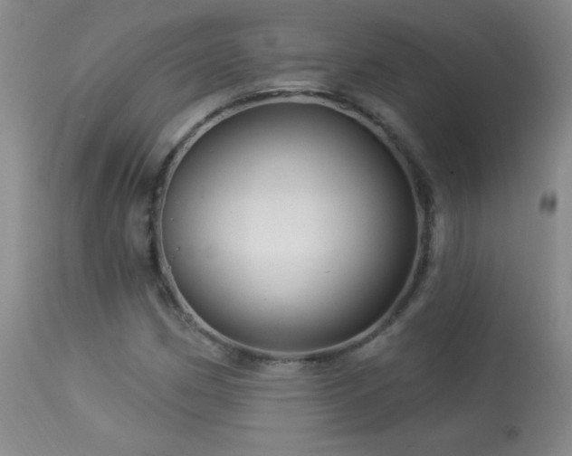 X0000114211162200910091317