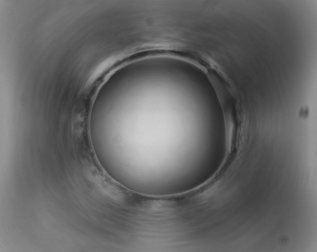 X0000114211163200910091317